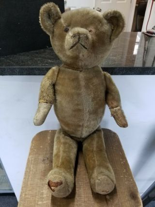 Antique Steiff? Antique Teddy Bear - Wood Straw Stuffed - Approx.  24 " Length