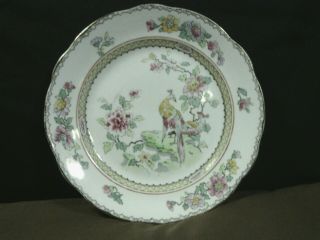 Gorgeous Antique Crown Staffordshire England Hand Painted Fluted Peacocks Plate