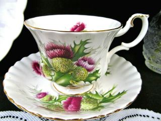 Royal Albert Tea Cup And Saucer Highland Thistle Teacup Pattern Purple