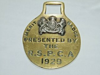 Great Antique Vintage 1929 Horse Brass Rspca Merit Badge Coat Of Arms