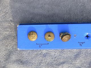 Virginia Agricultural And Mechanical College (pre - Vpi) Cadet Uniform Buttons