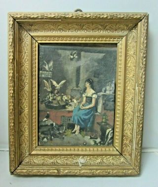 Signed Antique Oil On Board Painting Woman W/ Pigeons Doves Birds Ornate Frame