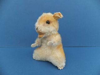 Vintage German Steiff Mohair Toy Goldy Golden Hamster Id 4314,  00 Glass Eyes Bear