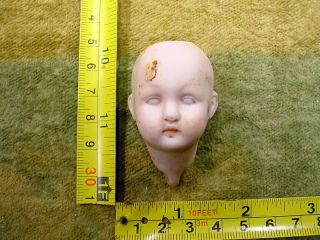 Vintage Excavated Faded Painted Swivel Bisque Head Age 1890 Size 2 Inch 11413