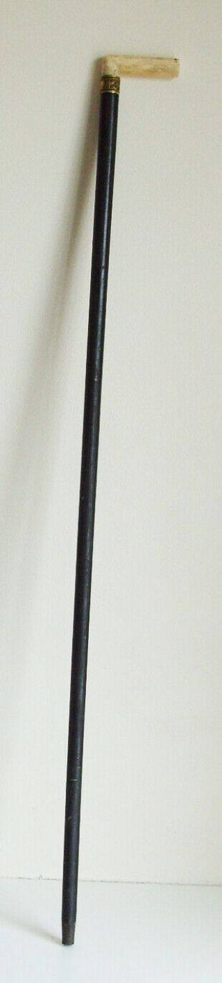 Antique Walking Stick With Bovine Bone Handle And Brass Tip 87.  5cm Long