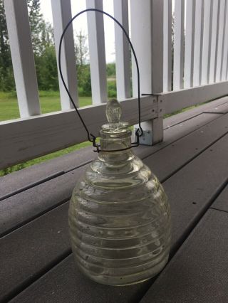 Antique Glass Fly/ Wasp / Bee Hive Trap