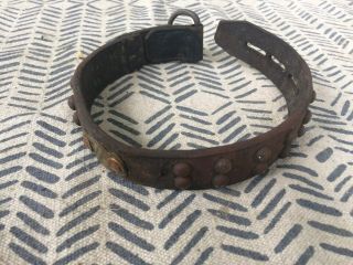 Antique Leather And Brass Dog Collar.  With Tag From 1932.  Crawford County Pa.