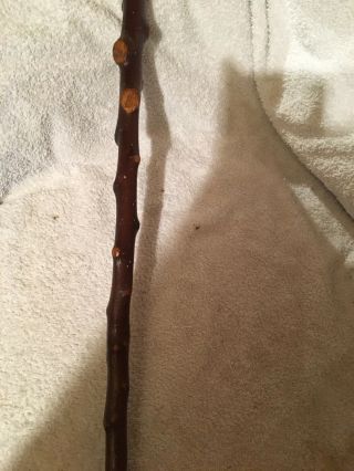 Vintage Blackthorne Walking Stick,  antler Handle. 3