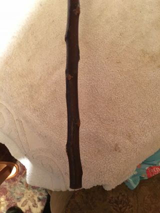 Vintage Blackthorne Walking Stick,  antler Handle. 4