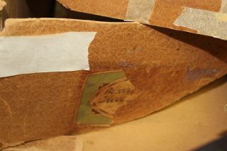 NMIB Antique Accordian/Squeeze Box/Concertina - Beaver Brand Germany 3