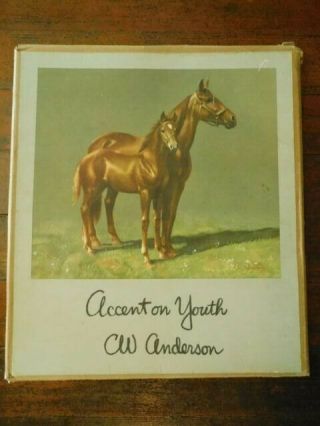 Vtg.  1955 C.  W.  Anderson Accent On Youth Folio / 7 Horse Prints 14 1/4 " X 16 1/2 "