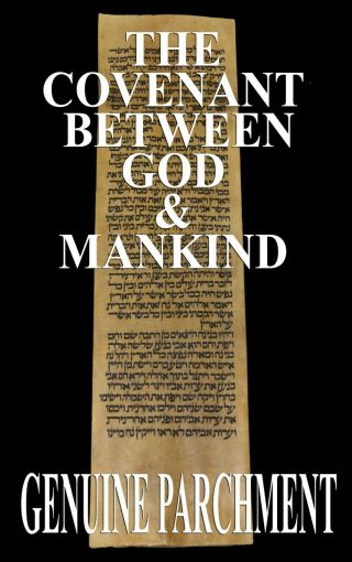 Torah Scroll Bible Vellum Manuscript Leaf 350 Yrs Tunisia Genesis 9:3 - 9:23