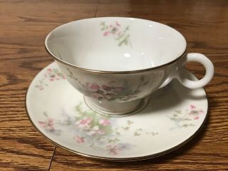 Antique Theodore Haviland,  Ny,  Porcelain China Tea Cup And Saucer,  Apple Blossom