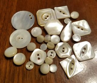 28 Antique Carved White Mother Sew Through Shank Buttons Some Diminuitives
