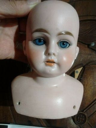 Antique German Bisque Doll Head Only Horse Shoe Mark 1902