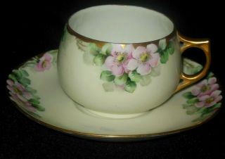 Antique Hand Painted Wild Pink Roses Tea Cup Saucer Set Gold Rim