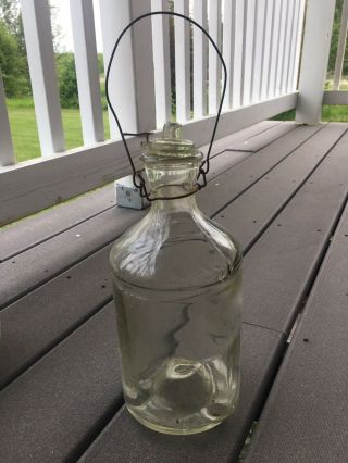 Antique Glass Fly/ Wasp / Hive Trap Tall Glass HD On Bottom 2