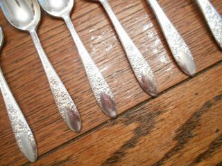 8 National Silver Co 1937 ROSE & LEAF Pattern Demitasse Spoons Silverplate 3
