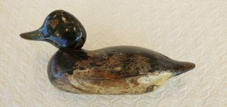 Antique Vintage Wooden Duck Decoy - Possibly Hayes Bluebill Or Mason Old 1930 