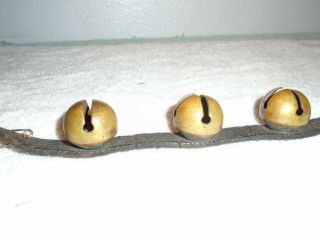 Antique 1876 - 1878 Brass Horse Sleigh Bells With Strap Set Of 6