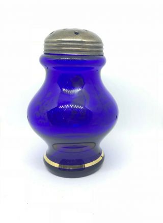 MARY GREGORY COBALT BLUE SUGAR SHAKER / MUFFINEER BOY IN NATURE 4