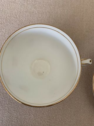 Vintage Sampson Smith Old Royal Rose tea cup and saucer set with gold trim 4