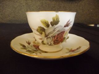 Royal Vale English Bone China Dusty Red Rose Footed Tea Cup And Saucer