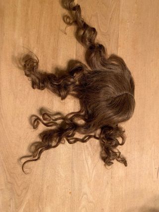 Old Brown Wig For Antique Doll - Unknown Fibers,  But Possibly Human Hair