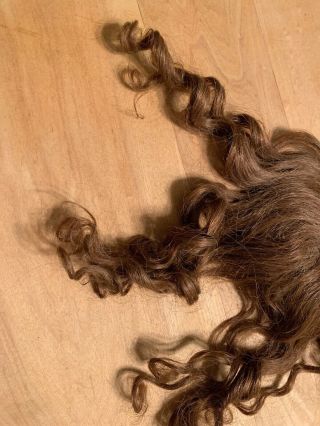 Old Brown Wig For Antique Doll - unknown Fibers,  But possibly Human Hair 2