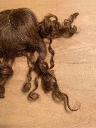 Old Brown Wig For Antique Doll - unknown Fibers,  But possibly Human Hair 3