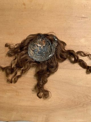 Old Brown Wig For Antique Doll - unknown Fibers,  But possibly Human Hair 4