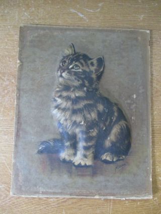 M.  Gear Signed Vintage Raised 3 - D Print Of A Kitten On Hard Backing