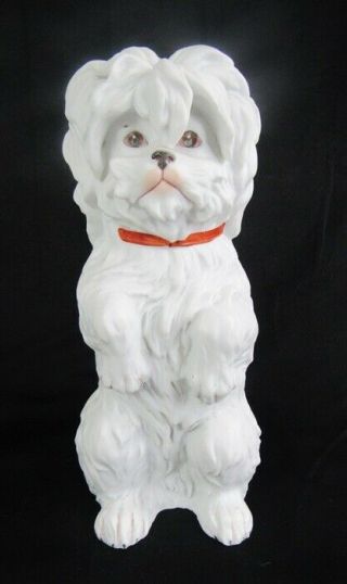 Antique Heubach Germany Painted Bisque Large 9 " Begging Maltese Dog Figurine