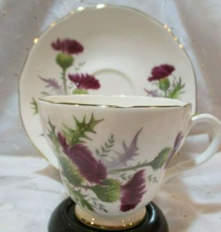 Vintage Duchess Fine Bone China Tea Cup & Saucer Highland Beauty Thistle