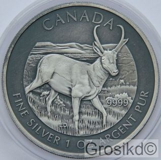 Canada 2013 $5 Antelope 1 Oz Silver Antique Finish Unique