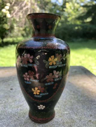 Antique Cloisonne Vase 5” Unsigned Butterfly & Flowers