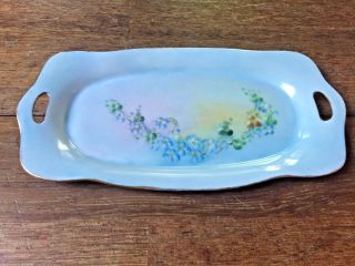 Antique Rs Germany Signed Hand Painted Blue Porcelain Tray Butter Relish Dish