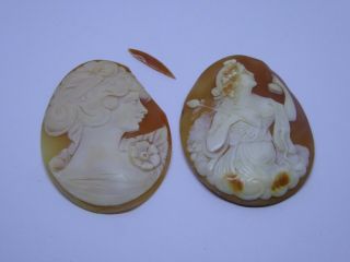 2 X Large Antique Carved Shell Cameos - Unmounted
