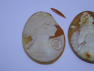 2 x Large Antique Carved Shell Cameos - Unmounted 2