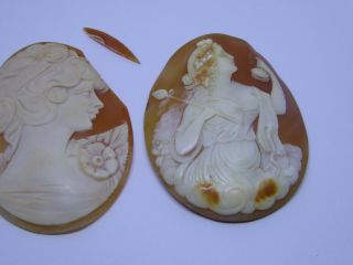 2 x Large Antique Carved Shell Cameos - Unmounted 3