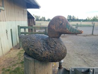 Antique Vintage Old Wooden Hen Duck Decoy Fold Or Primitive Art Carving