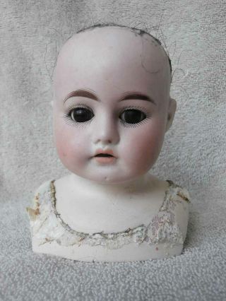 Antique German Bisque Doll Shoulderplate Head 4 1/2 " Very As Found