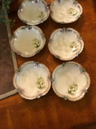 Lovely 7pc.  Antique RS Prussia Bowl & 6 Serving.  Hand Painted Dogwood Gold Trim 5