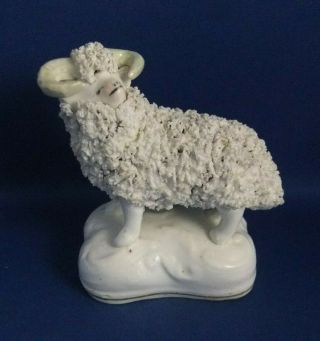 Antique 19thc Staffordshire Pottery Figure Of A Sheep / Ram C1835 - Ex D.  Rice