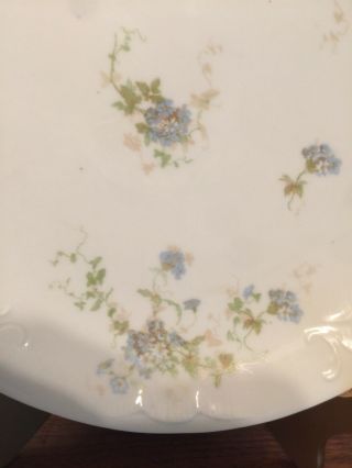Set Of 2 Antique Open - Handled Cake Plates Pouyat - Limoges - Blue Green Florals Exc. 8