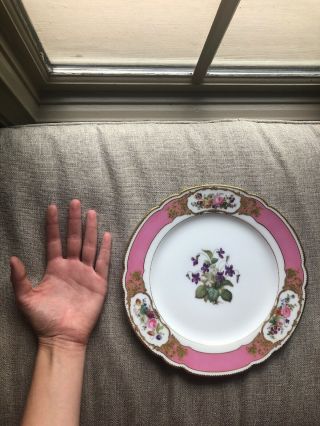 Vintage Antique Dinner Plate Floral White Pink Purple Flowers Gold Rim 10 inches 3