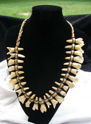 Antique Old 1920s Cree? Native American Indian Elk Tooth Necklace Ceremonial