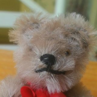 Vintage 1970s Mohair Clemens Miniature Teddy Bear West Germany 4in Euc
