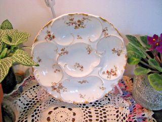 Antique Haviland & Co.  Oyster Plate - Limoges France - Flowers - Lovely Gold Trim -
