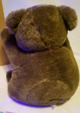 Vintage 1985 Spinoza Therapy (Autism) Bear Speaks From The Heart 3